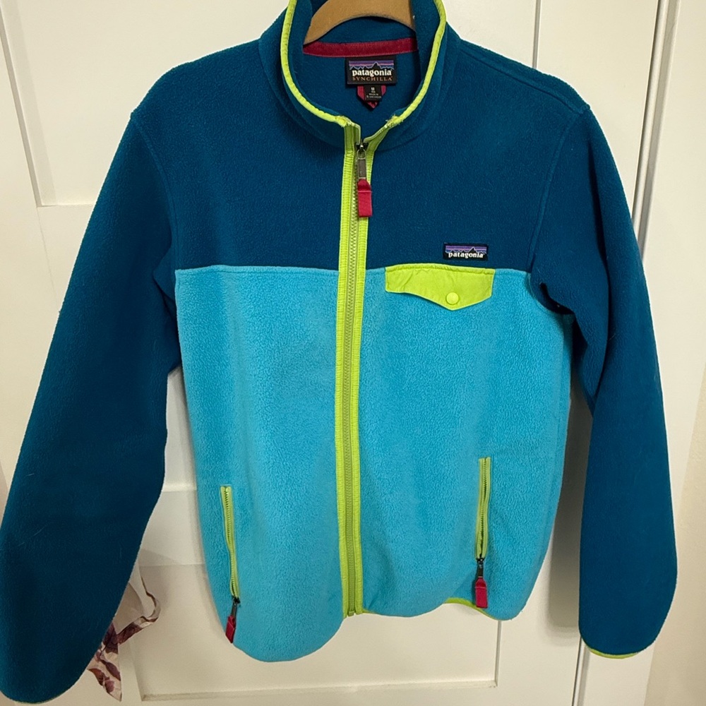 Patagonia Blue and Green Fleece Jacket